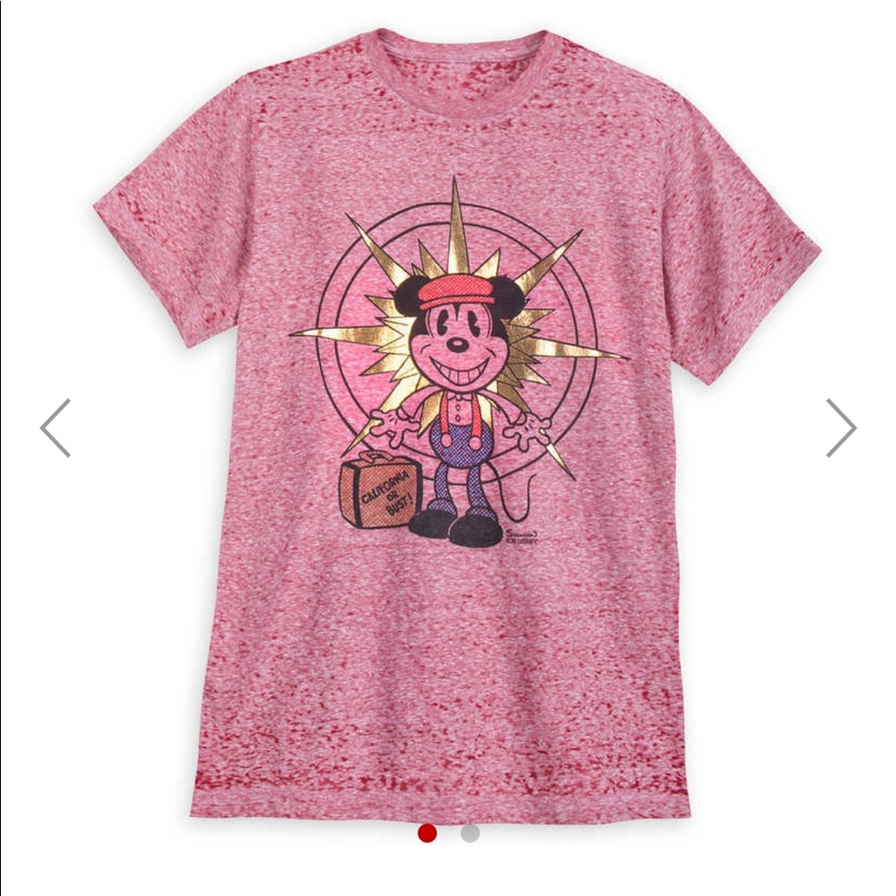 Disney Parks Artist Inspired T